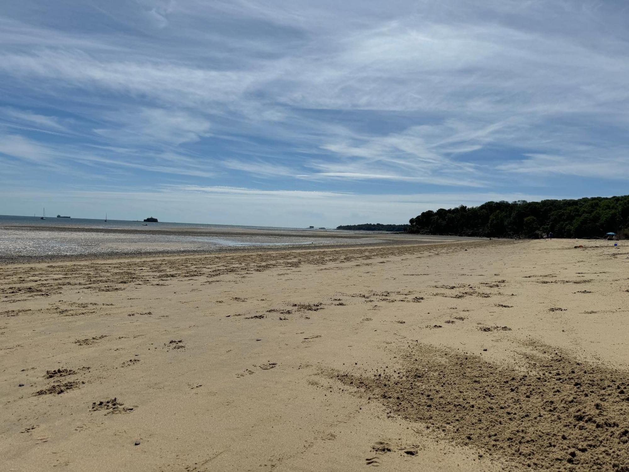 Trafalgar, Lovely Ground Floor Flat With Outside Patio Garden, Minutes Walk To Seafront Seaview Esterno foto